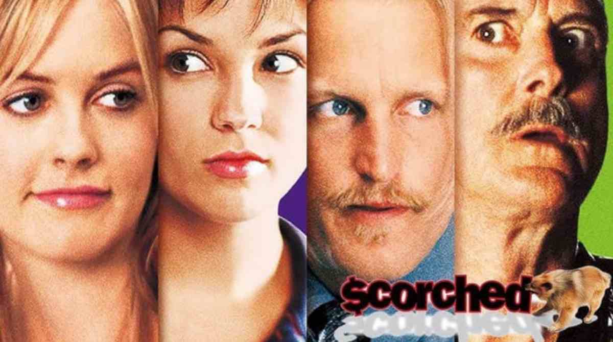 焦头烂额封面图