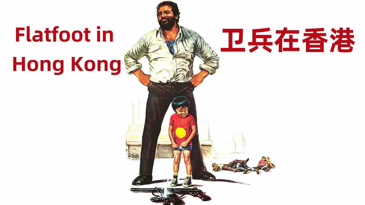 卫兵在香港封面图