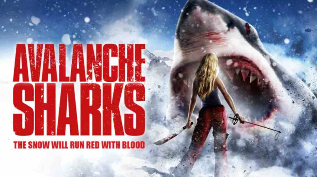 暴雪飞鲨封面图