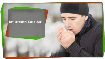 热呼吸/冷空气