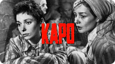 零点地带封面图