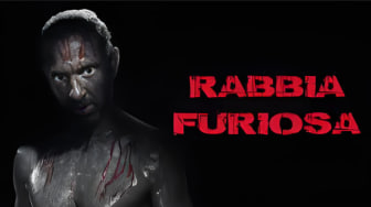 双倍的愤怒封面图