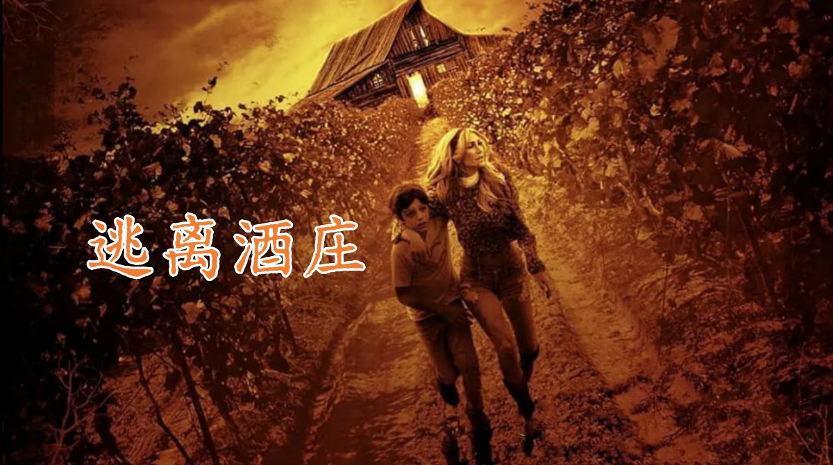 逃离酒庄封面图