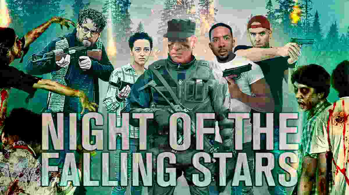 流星之夜封面图