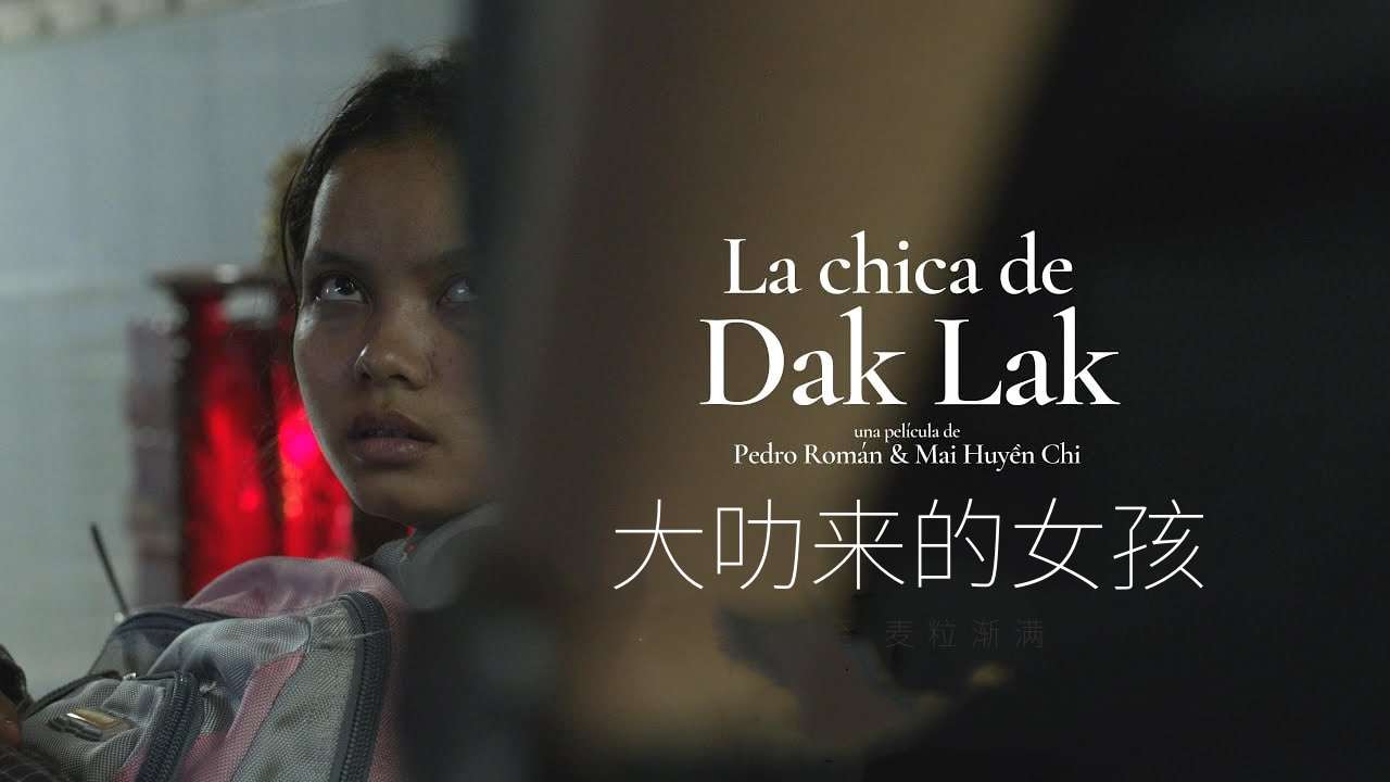 大叻来的女孩封面图