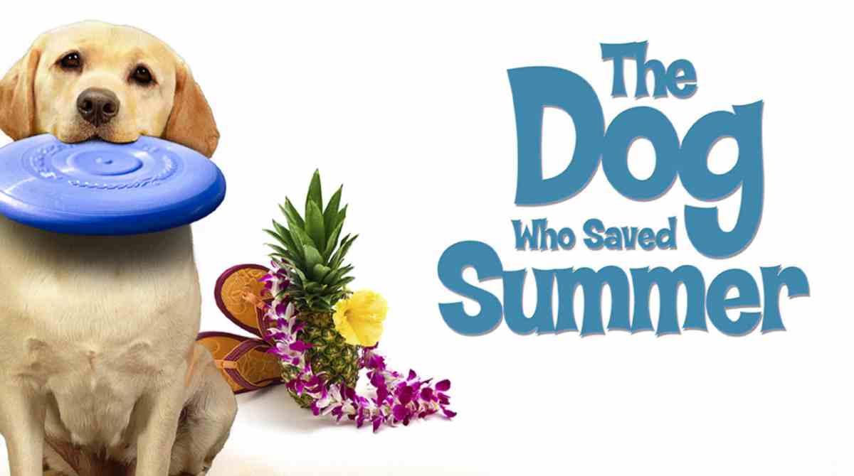 妙狗拯救夏日封面图