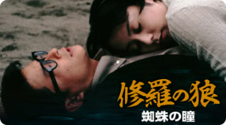 蜘蛛之瞳封面图