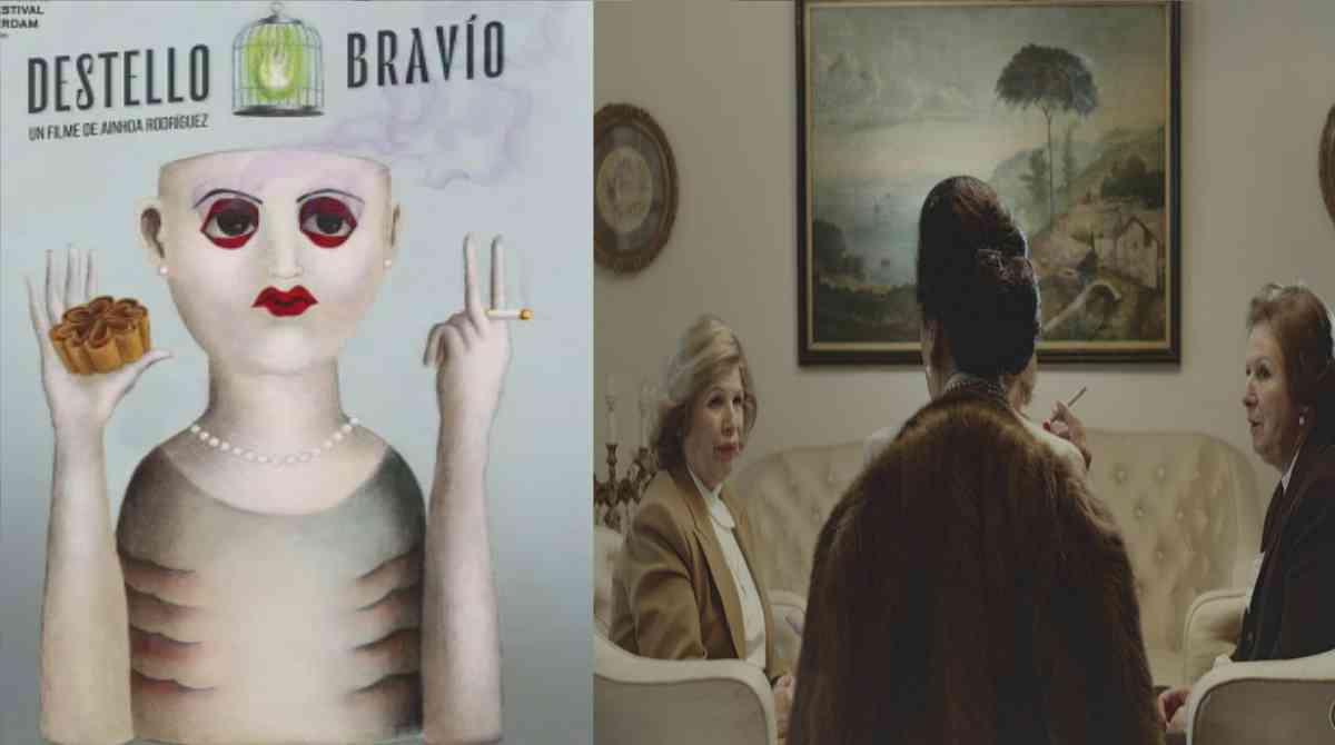 万能圣光封面图