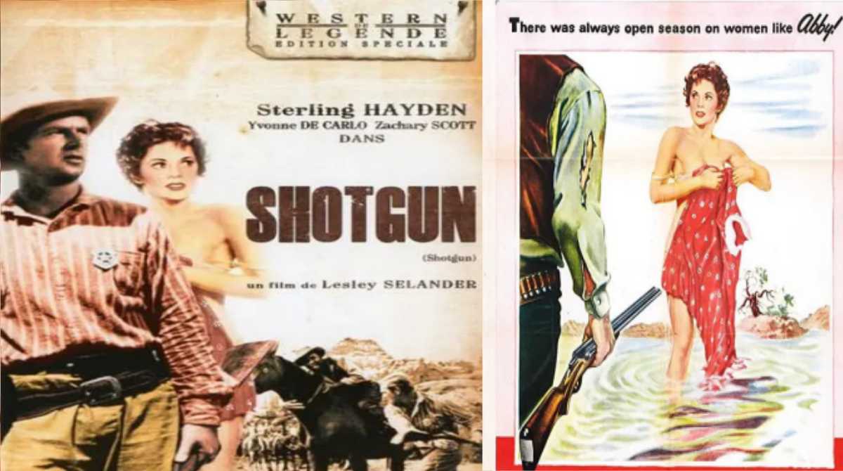 连环枪虎将封面图