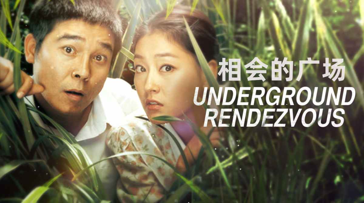 相会的广场封面图