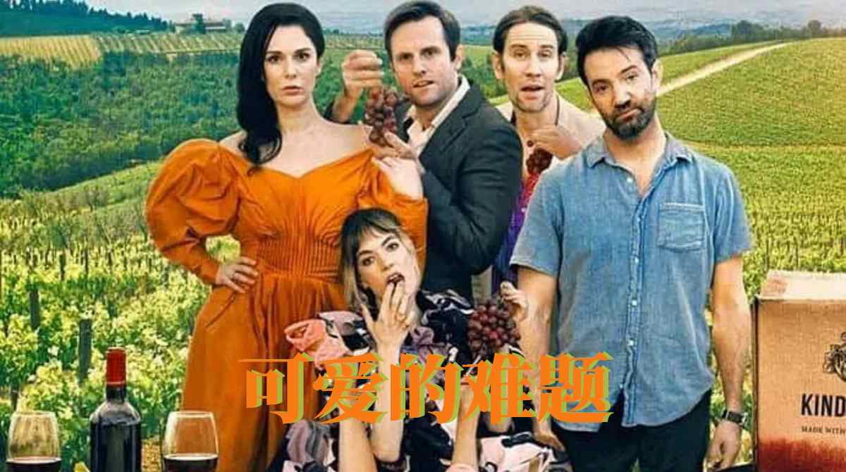 可爱的难题封面图