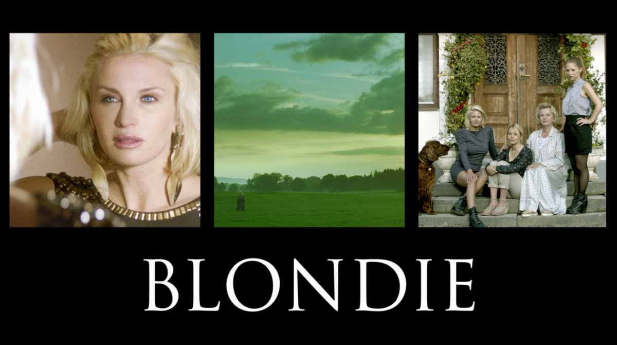 金发家族封面图