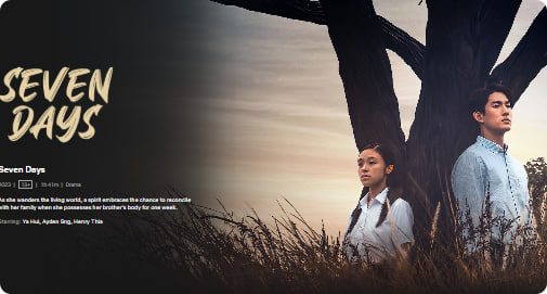 七天 2023封面图