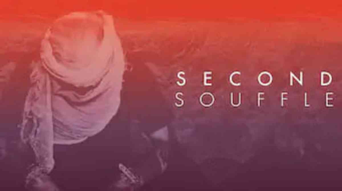 第二份蛋奶酥封面图