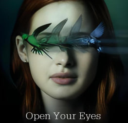 睁开你的眼封面图