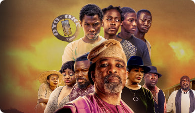 钻石惹的祸封面图