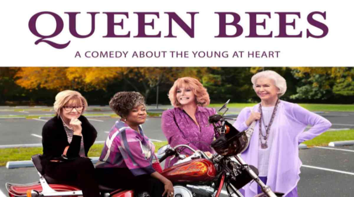 欢迎来到松树林封面图