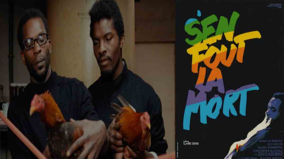 无恐无惧封面图