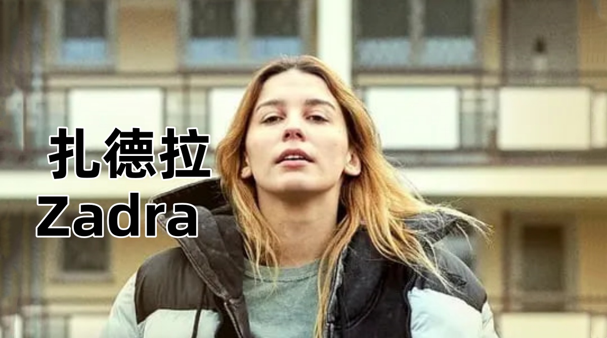 扎德拉封面图