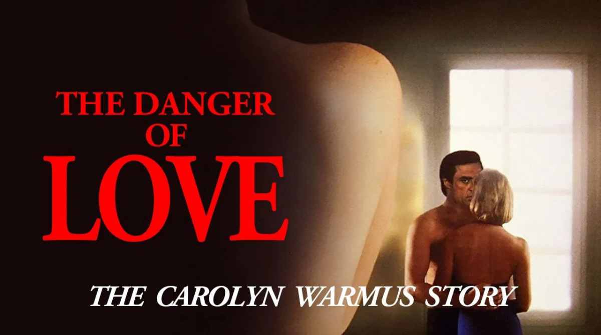 杀妻奇案封面图