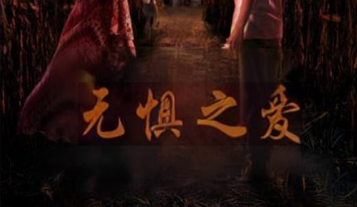 无惧之爱 2022封面图