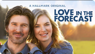 预报情缘封面图