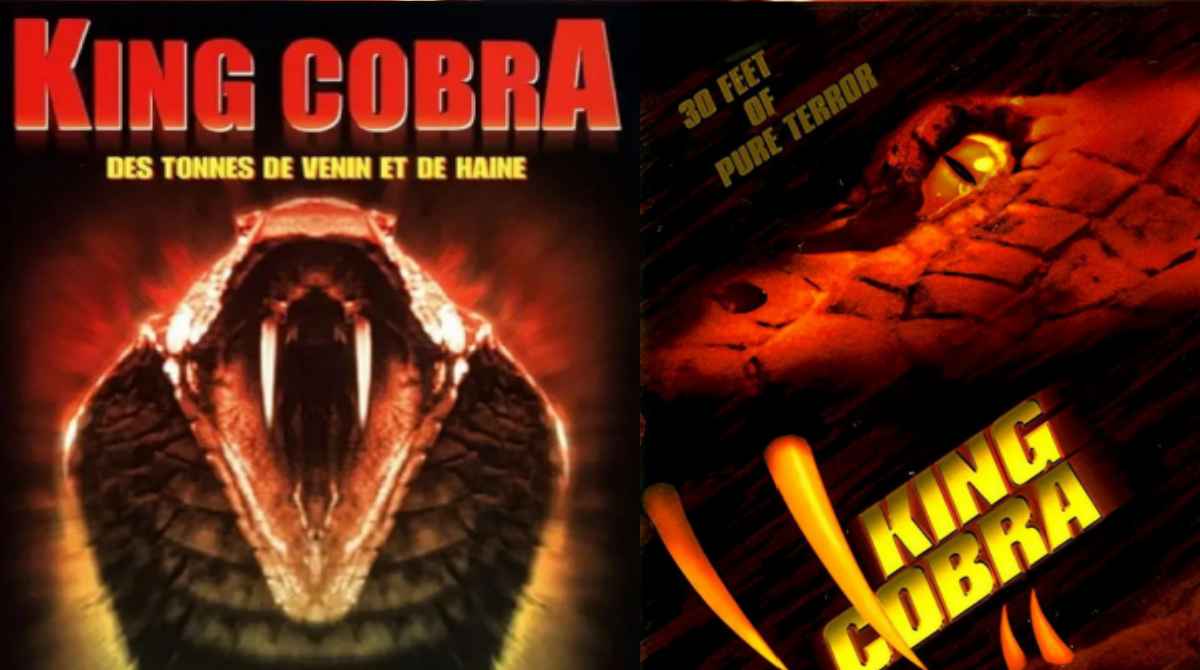 眼镜王蛇封面图