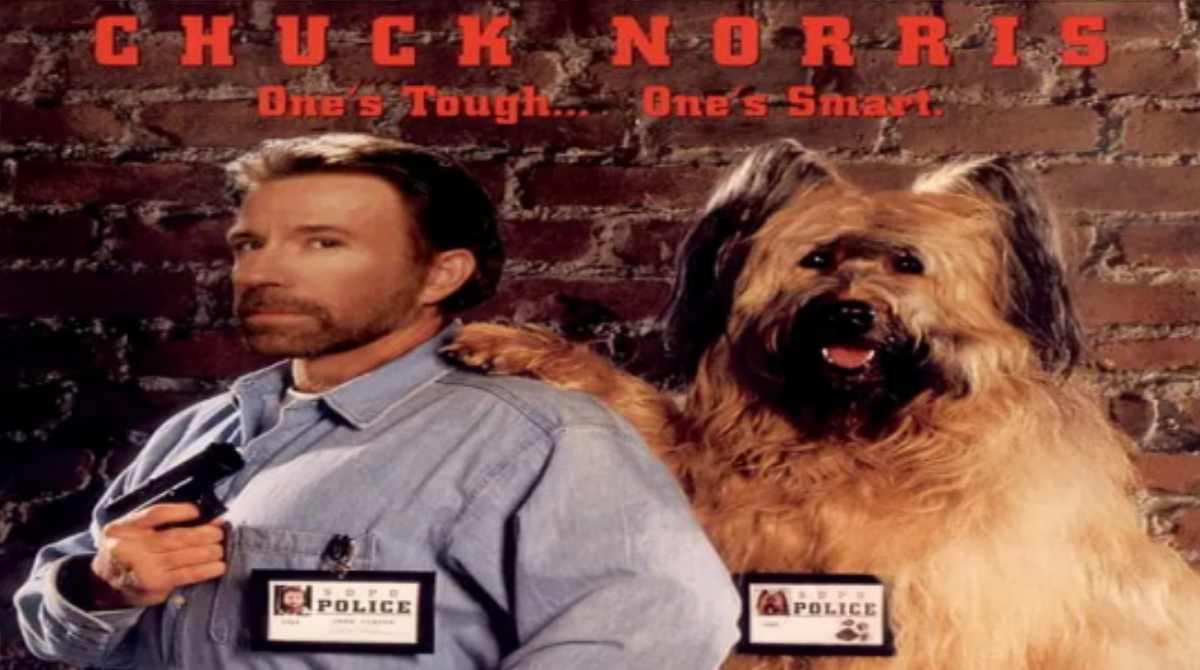 神探霹雳火封面图