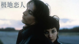 极地恋人封面图