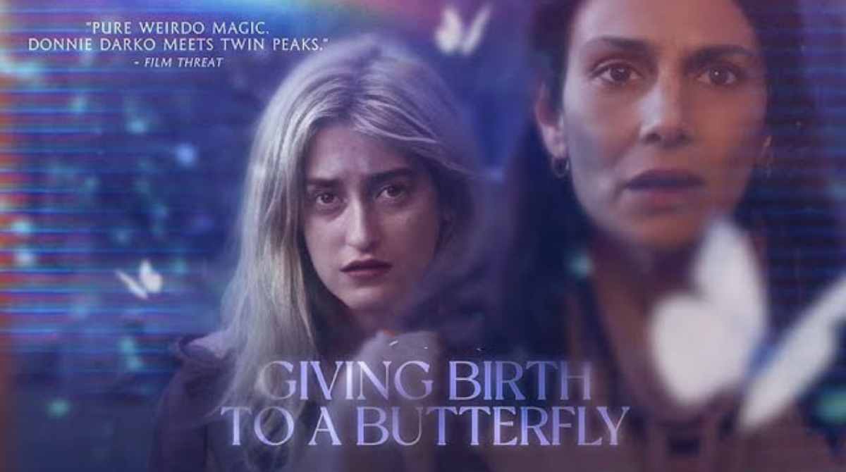 一只蝴蝶的诞生封面图