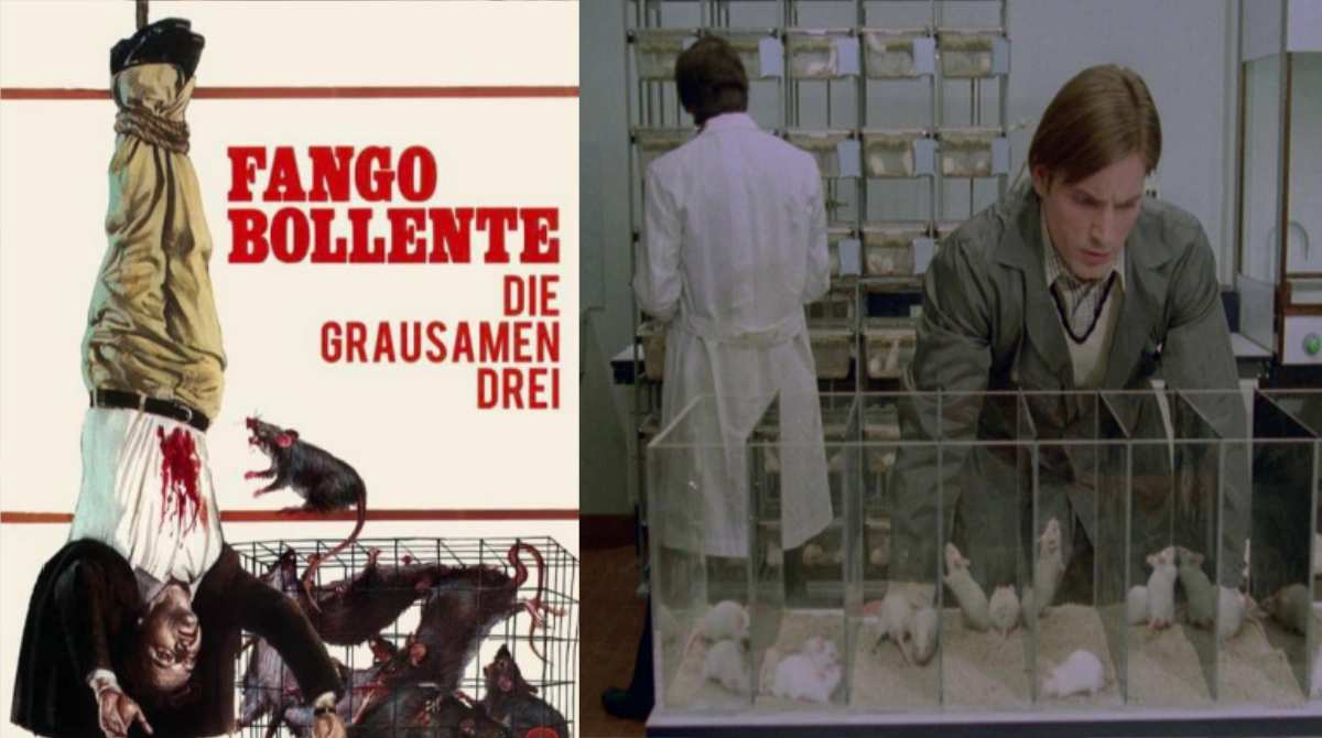 沸腾的泥土封面图