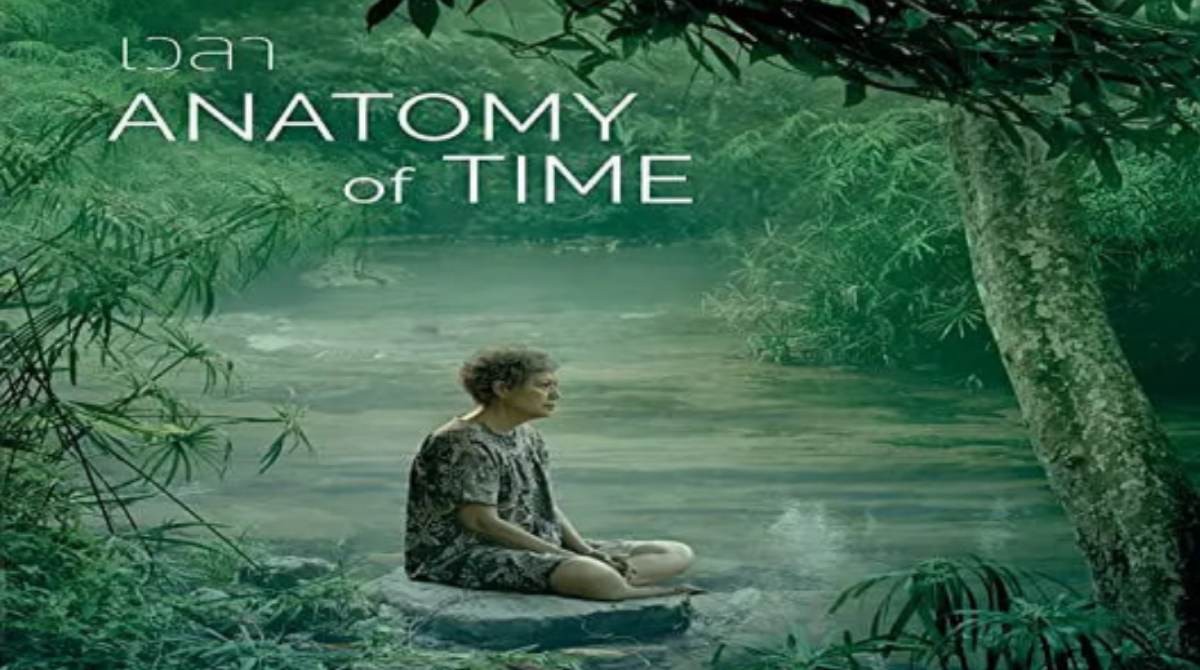 时间解剖学封面图