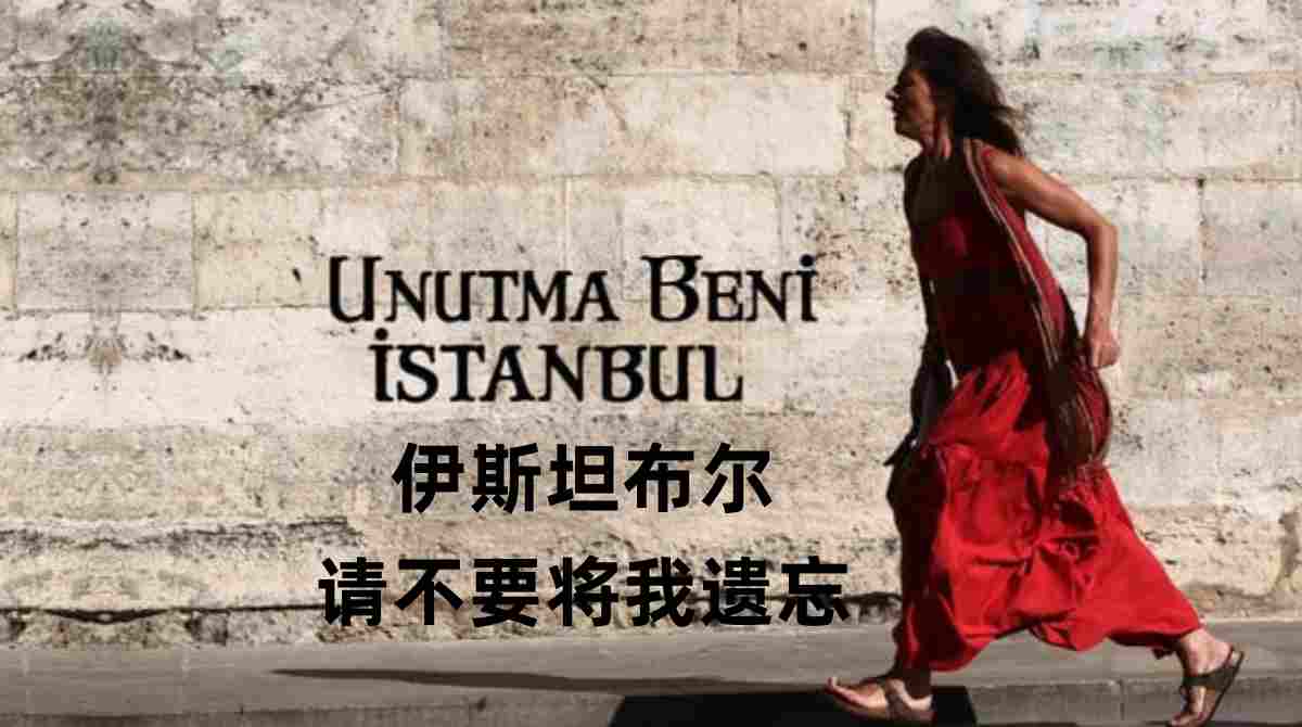 伊斯坦布尔，请不要将我遗忘封面图