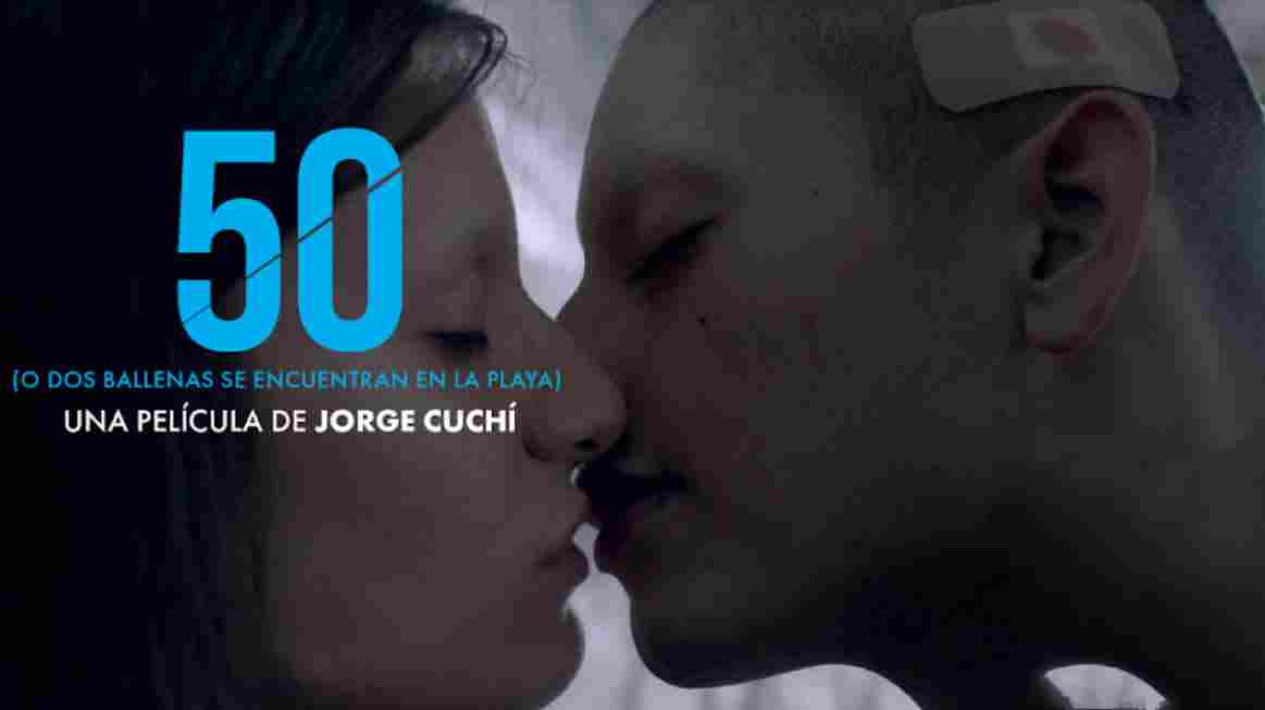 50或两只鲸鱼在沙滩上相遇封面图