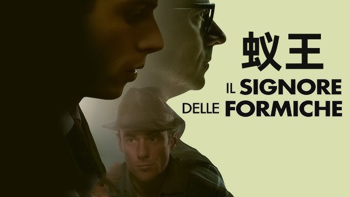蚁王 Il封面图