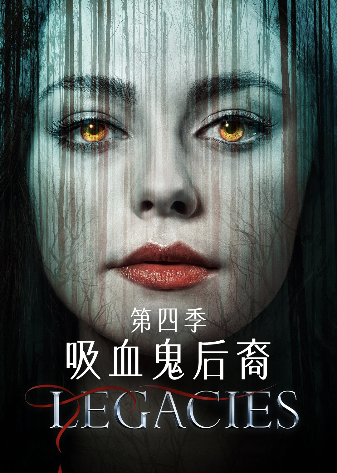 吸血鬼后裔第四季封面图