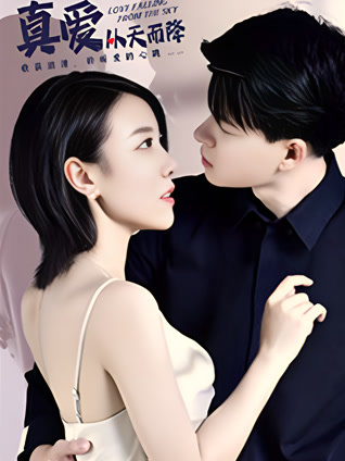 真爱从天而降封面图