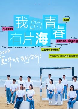 我的青春有片海封面图