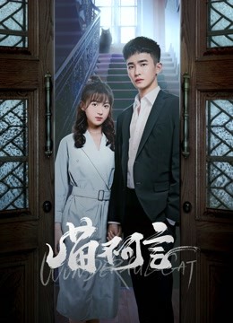 喵不可言封面图