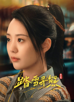 踏雪寻熊封面图