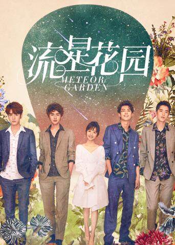 流星花园封面图