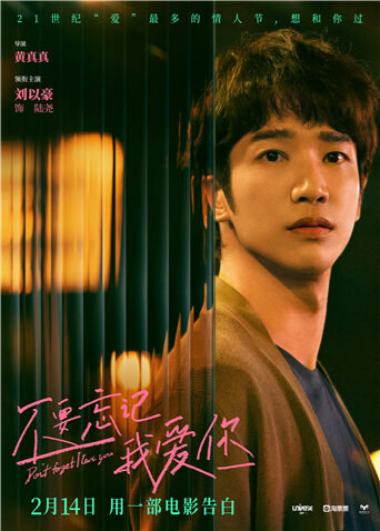 不要忘记我爱你封面图