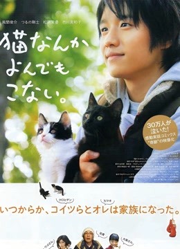 为什么猫都叫不来封面图