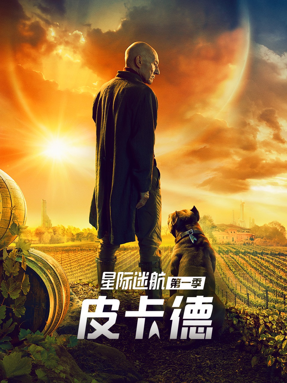 星际迷航：皮卡德 第一季封面图