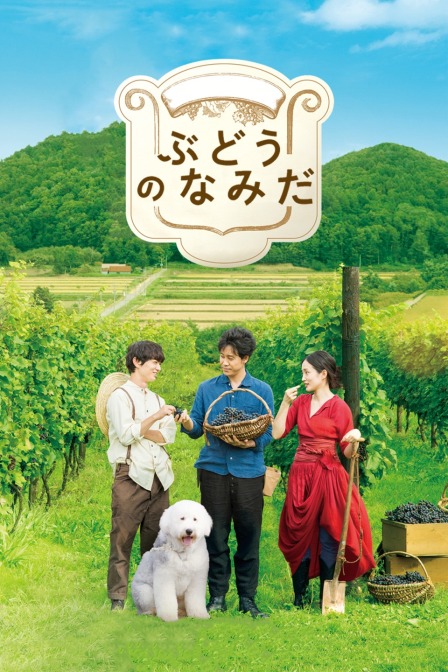 葡萄的眼泪封面图