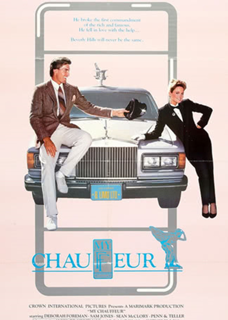 我的司机封面图