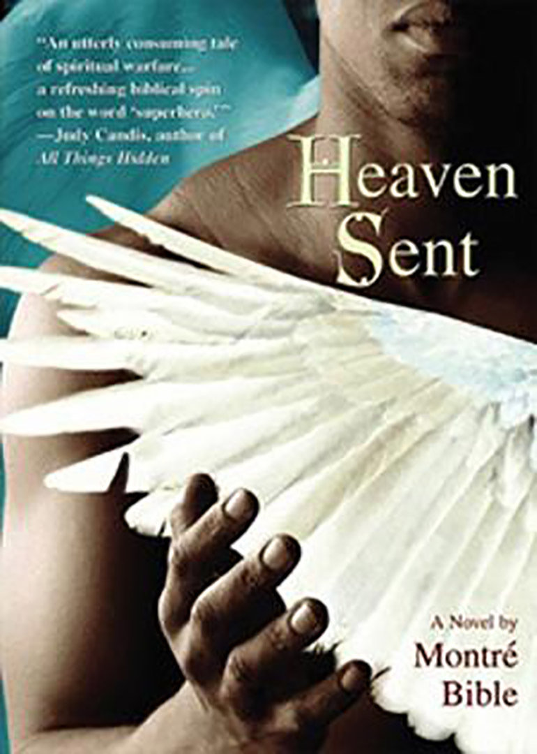 天堂来客封面图