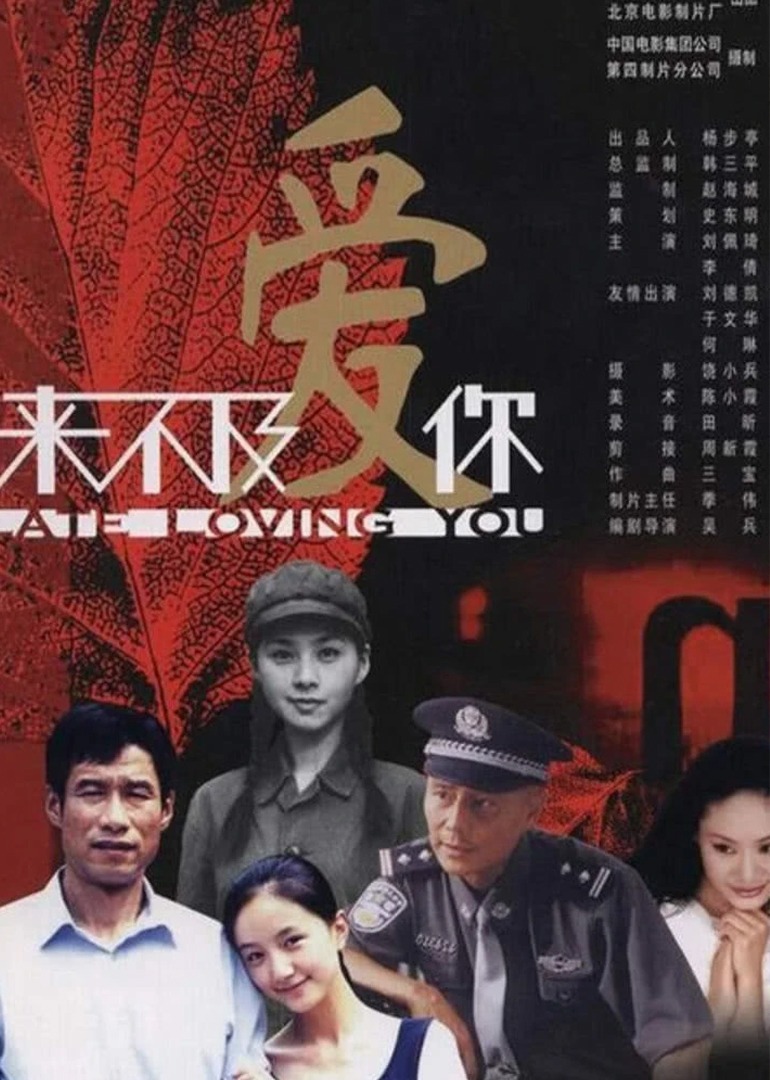 来不及爱你封面图