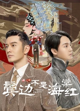 鬓边不是海棠红封面图