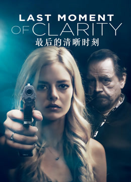 最后的清晰时刻封面图